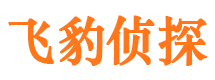 深泽寻人公司